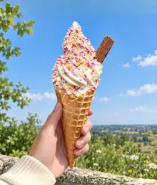 Shez Whippy Sprinkle Waffle Ice Cream