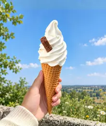 Shez Whippy Plain Waffle Ice Cream