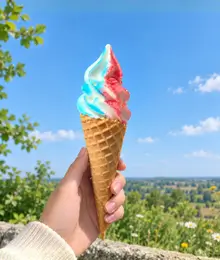 Shez Whippy Sherbet Waffle Ice Cream