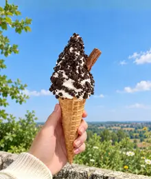 Shez Whippy Choc Nut waffle ice cream