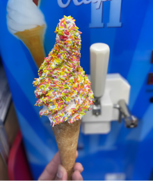 Shez Whippy sprinkle ice cream waffle cone